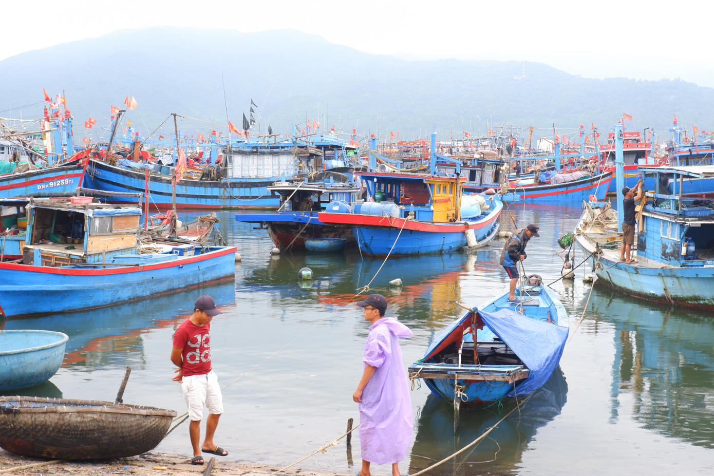 Sáng và đầu giờ chiều 27/9, ngư dân ở tại cảng cá Thọ Quang cơ bản đã làm xong những công tác cuối cùng để ứng phó với bão Noru. Anh Hùng (chủ một tàu cá neo đậu tại cảng) cho biết: "Từ chiều 26/9, các tàu đánh cá đã được neo đậu chắc chắn ở cảng. Rút kinh nghiệm từ những mùa bão trước, bà con kéo nhau vào từ sớm để tránh tổn thất".