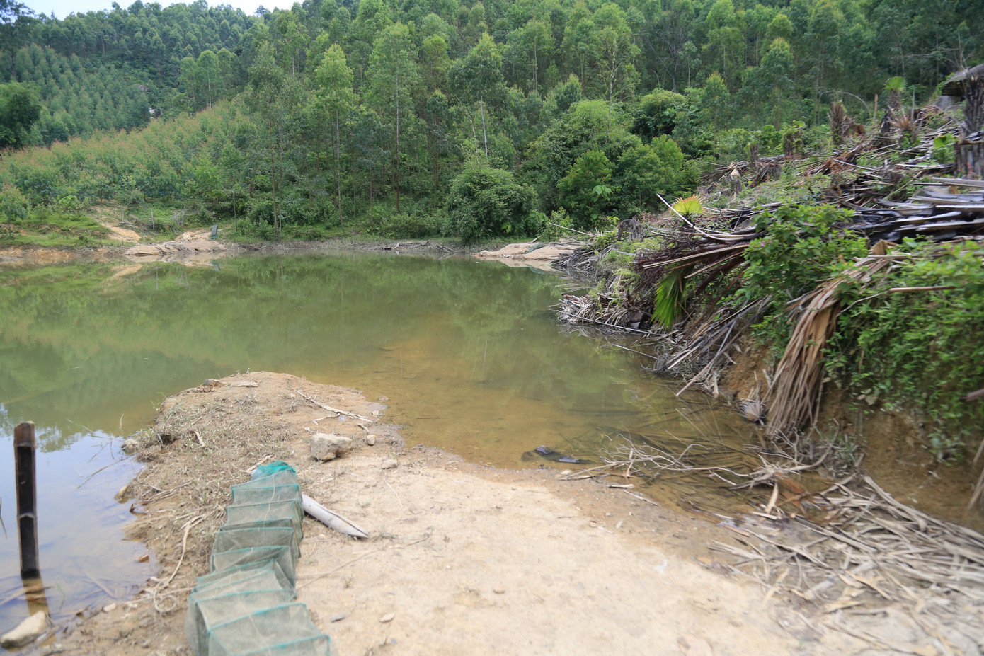 Tuy nhiên, kể từ khi công trình đập thủy lợi Đồng Trại đi vào khai thác (khoảng năm 2022), dòng nước bị chắn giữ khiến mực nước dâng cao, làm ngập con đường này. Theo ông Hạnh, có hai hộ dân từng phản đối việc lấp đường vì chưa được đền bù thỏa đáng. Từ đó đến nay, đoạn đường vẫn để nguyên trạng, ngập sâu mỗi mùa nước lên.