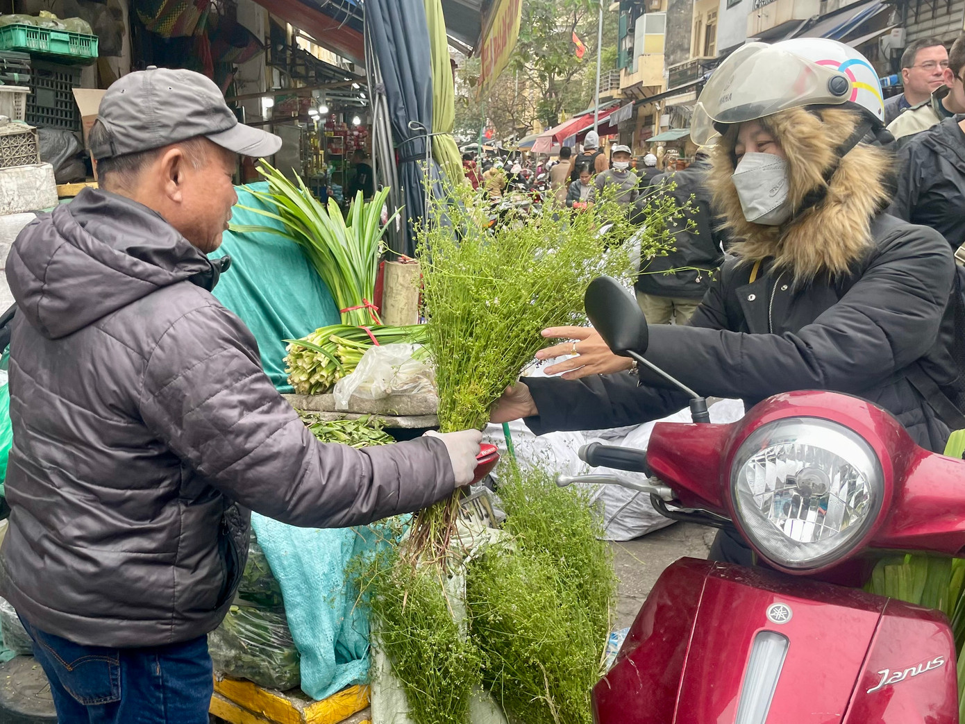 Theo các chủ hàng, mùi già năm nay có giá khoảng 35.000 đến 50.000 đồng/kg.