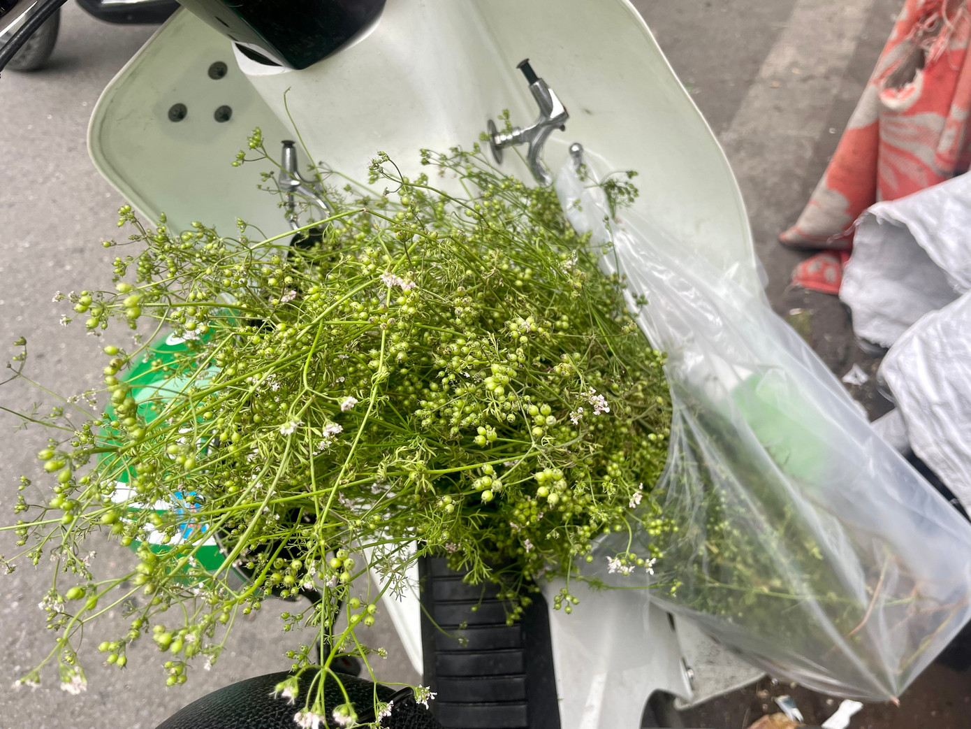 Mùi già có từ khoảng cuối tháng 11 đến cuối tháng 3 âm lịch nên được ví như hương vị của Tết.