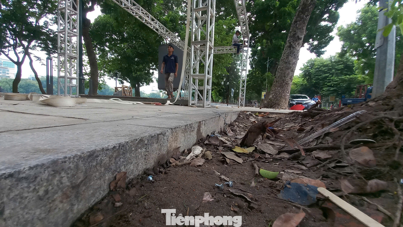 Theo những người tháo dỡ ở đây, đinh vít nhỏ được tháo ra từ những tấm bảng hiệu. Còn vít dài hơn dùng để bắn sàn gỗ vào khung thép. Theo những người tháo dỡ ở đây, đinh vít nhỏ được tháo ra từ những tấm bảng hiệu. Còn vít dài hơn dùng để bắn sàn gỗ vào khung thép.