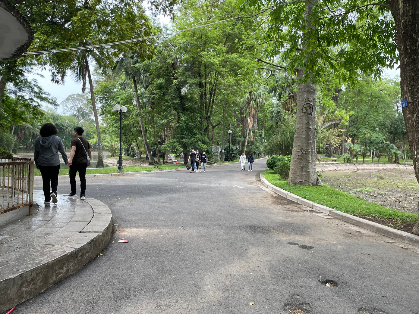 Ngược lại với vẻ đông đúc của công viên Thủ Lệ, vườn Bách Thảo Hà Nội lại vắng vẻ hơn hẳn.