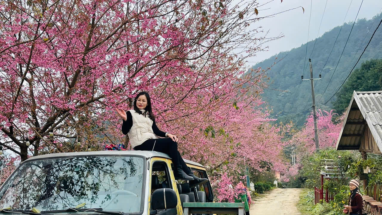 Những bông hoa nổi bật giữa màu xanh bạt ngàn của những khu rừng, tạo nên một cảnh sắc thiên nhiên tuyệt vời, đậm chất Tây Bắc.