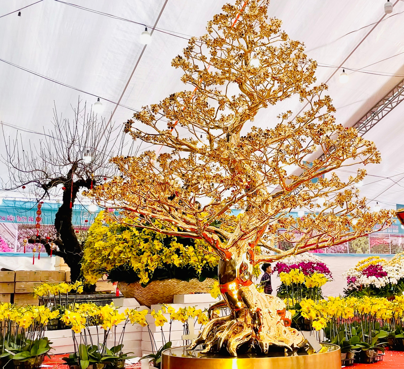 Mai là biểu tượng cho mùa xuân và ngày tết. Theo anh Hoàng Văn Định - đại diện của đơn vị làm ra sản phẩm, từ ý tưởng muốn lưu giữ hoa mai mãi nở rộ, ban lãnh đạo cùng các 16 nghệ nhân gấp rút thực hiện cây "Mai Rồng Việt" trong 720 giờ.