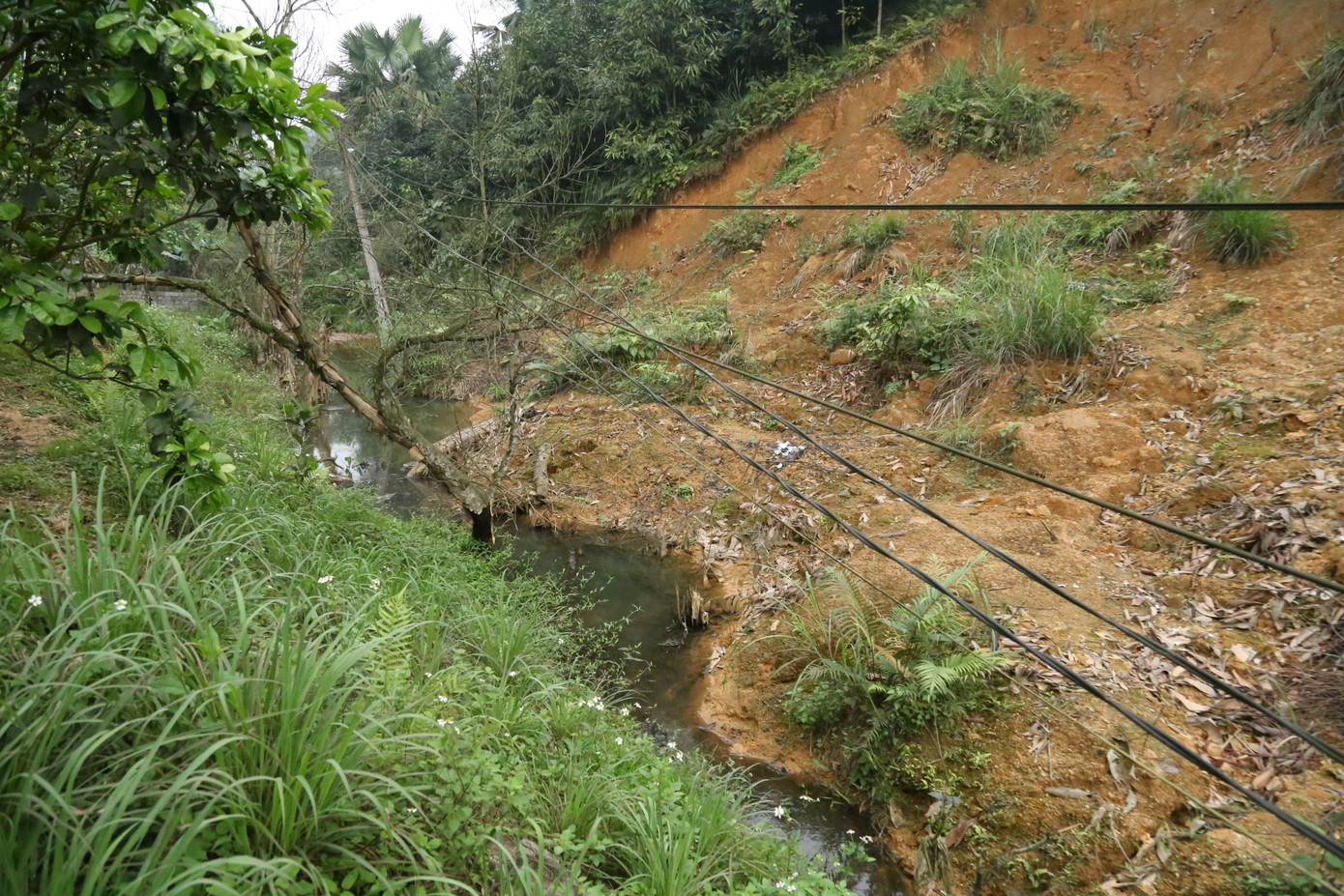 Những cây cột điện gẫy, đổ còn sót lại là dấu vết hiếm hoi cho thấy nơi đây từng là tuyến đường.