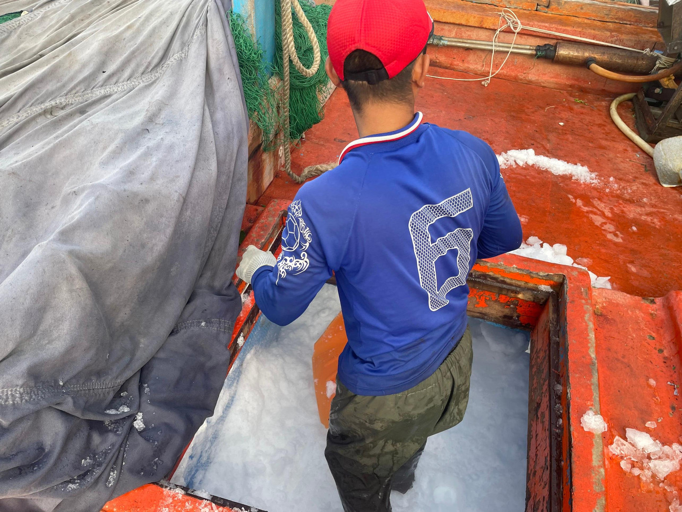 Một tàu khác đưa đá vào kho đông lạnh, chuẩn bị cho chuyến đi dài. Tùy từng tàu và theo cách đánh bắt sẽ có cấu tạo khác nhau. Có 3 loại tàu chính là tàu kéo cá, tàu thả lưới và tàu bắt cá chim. Một tàu khác đưa đá vào kho đông lạnh, chuẩn bị cho chuyến đi dài. Tùy từng tàu và theo cách đánh bắt sẽ có cấu tạo khác nhau. Có 3 loại tàu chính là tàu kéo cá, tàu thả lưới và tàu bắt cá chim.