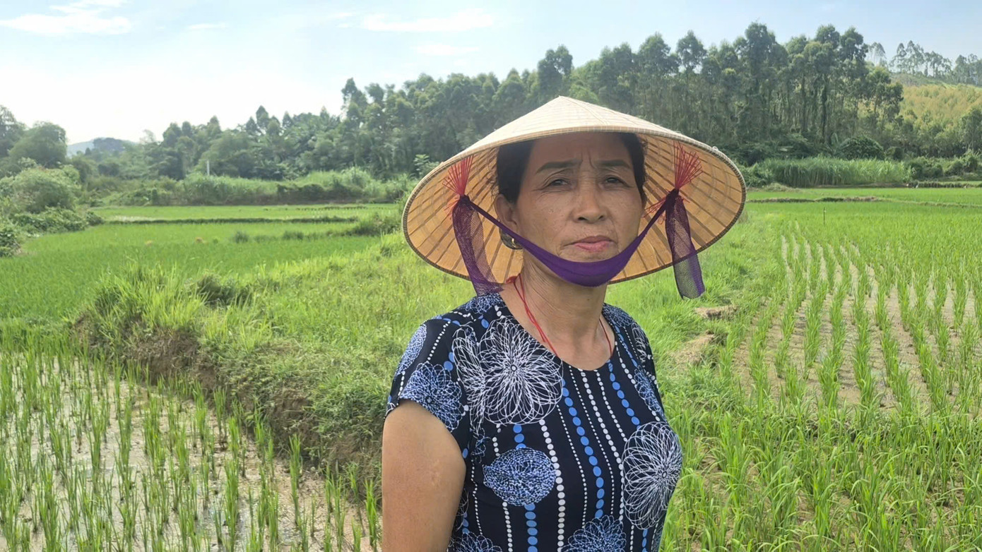 Bà Hoàng Thị Bằng, một người dân có khoảng 5 sào ruộng tại Kèm Sừ, cho biết: Khi đập thủy lợi đi vào hoạt động, người dân rất kỳ vọng sẽ có nước tưới ổn định. Thế nhưng, ruộng nhà bà lại không được lắp đường ống dẫn nước, trong khi nguồn nước suối tự nhiên từ trên đồi cũng đã cạn kiệt. &quot;Ruộng chỉ canh tác được một vụ vào mùa mưa, còn lại để không vì không có nước tưới&quot;, bà Bằng chia sẻ.