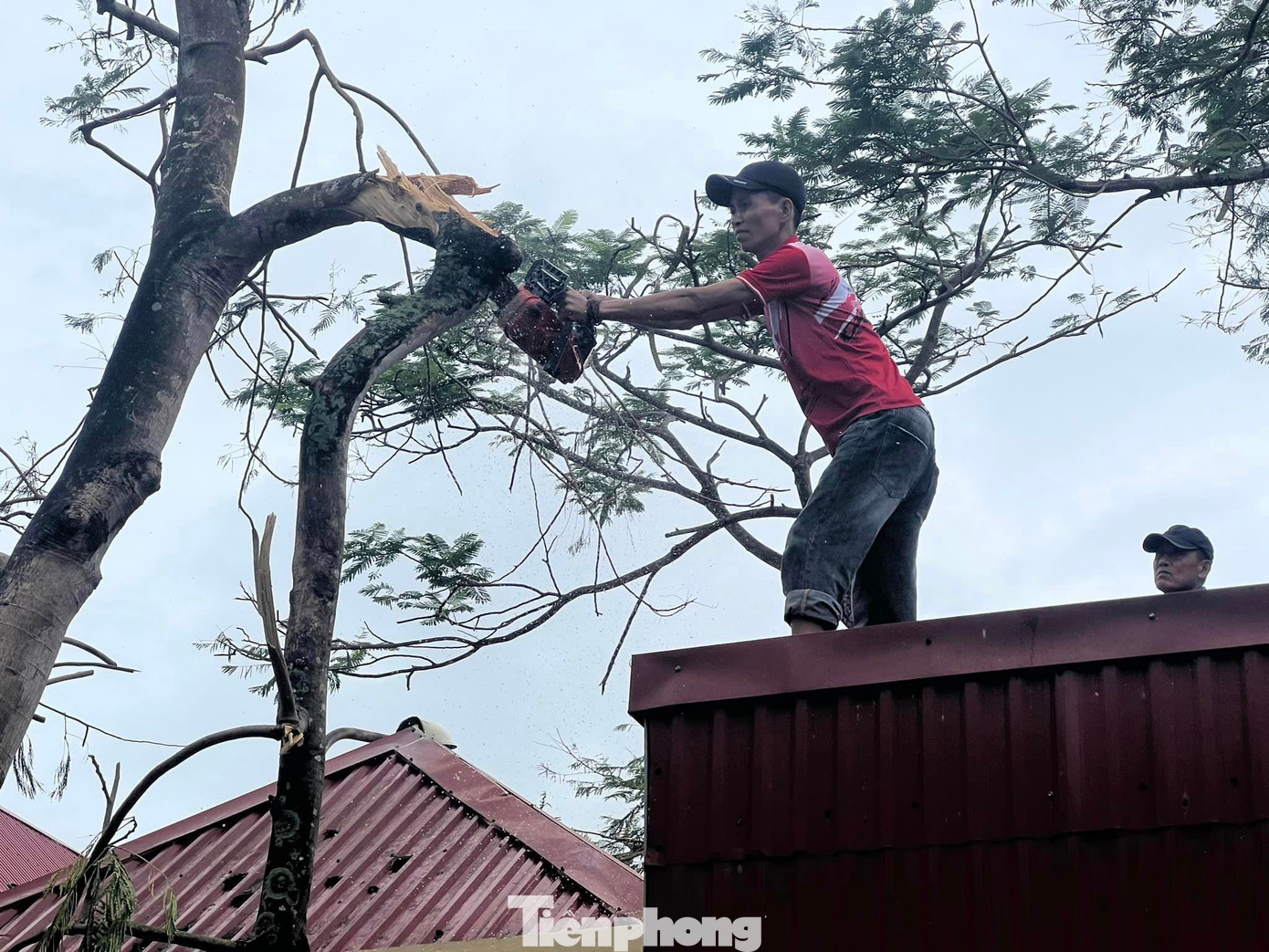 Theo anh Nguyễn Đình Anh Khoa, Chủ tịch PUN 75, đoàn đã lên kế hoạch từ trước, khảo sát và có cuộc họp sơ bộ với Thành Đoàn Hải Phòng. Từ đó, nắm bắt được các điểm hỗ trợ và ngay lập tức bắt tay vào việc dọn dẹp.