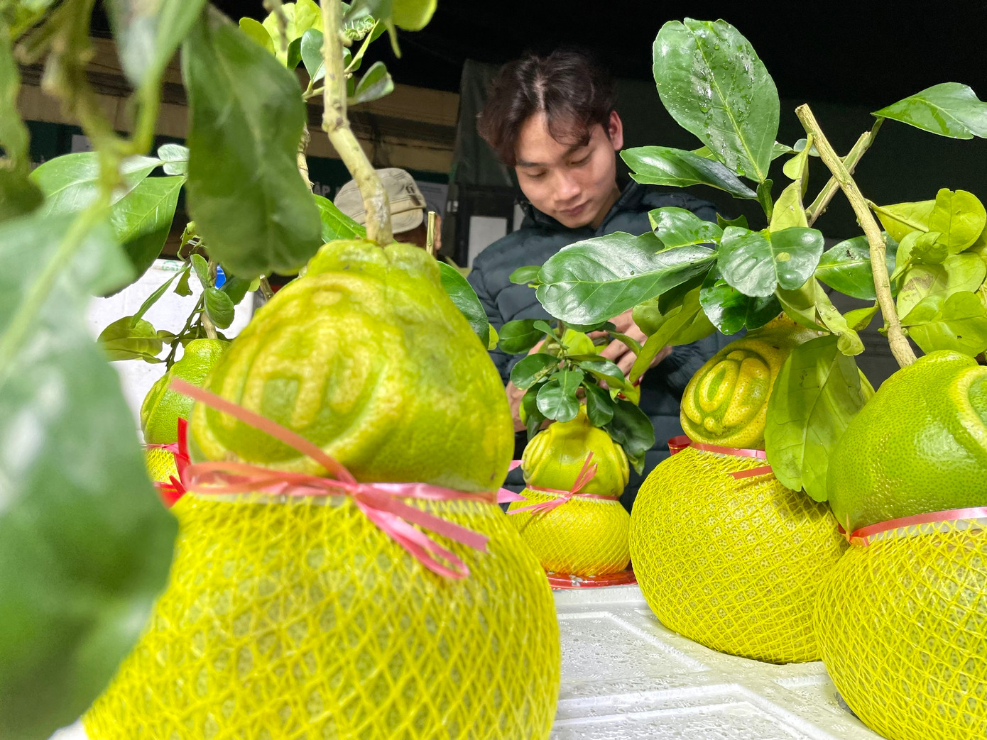 Bưởi hồ lô có giá 350.000 đồng/quả được nhiều người quan tâm.