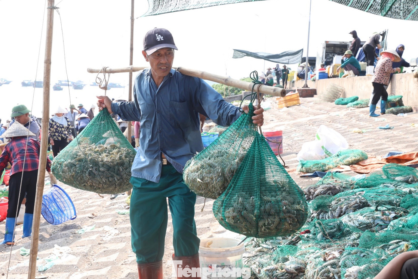 Chợ cá Giao Hải còn là nơi tạo việc làm cho nhiều lao động lớn tuổi. Tiền công gánh hàng lên đê từ 5.000 - 10.000 đồng/chuyến.