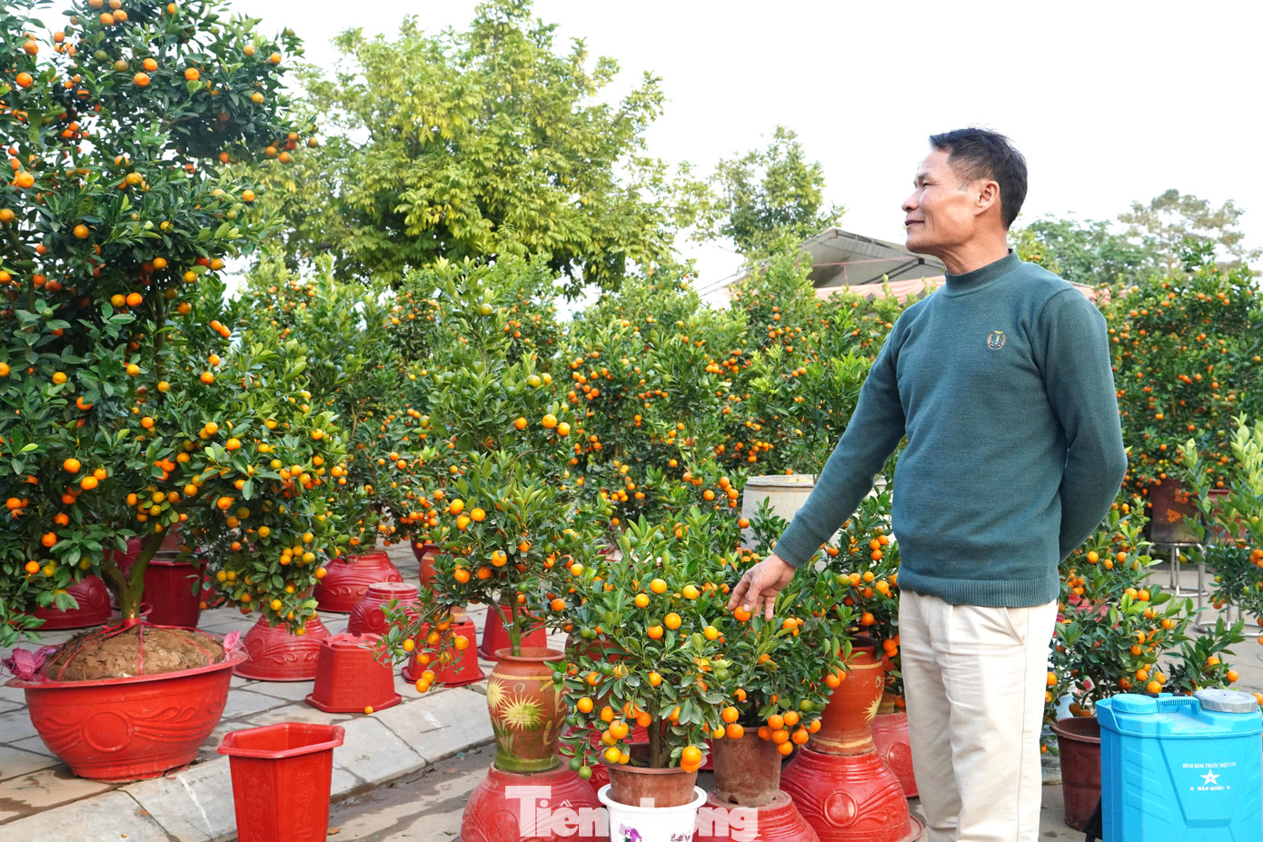 "Đây đã năm thứ 25 tôi bán quất ở đây. Năm nay, khách mua quất sớm hơn so với năm ngoái", anh Thanh nói.