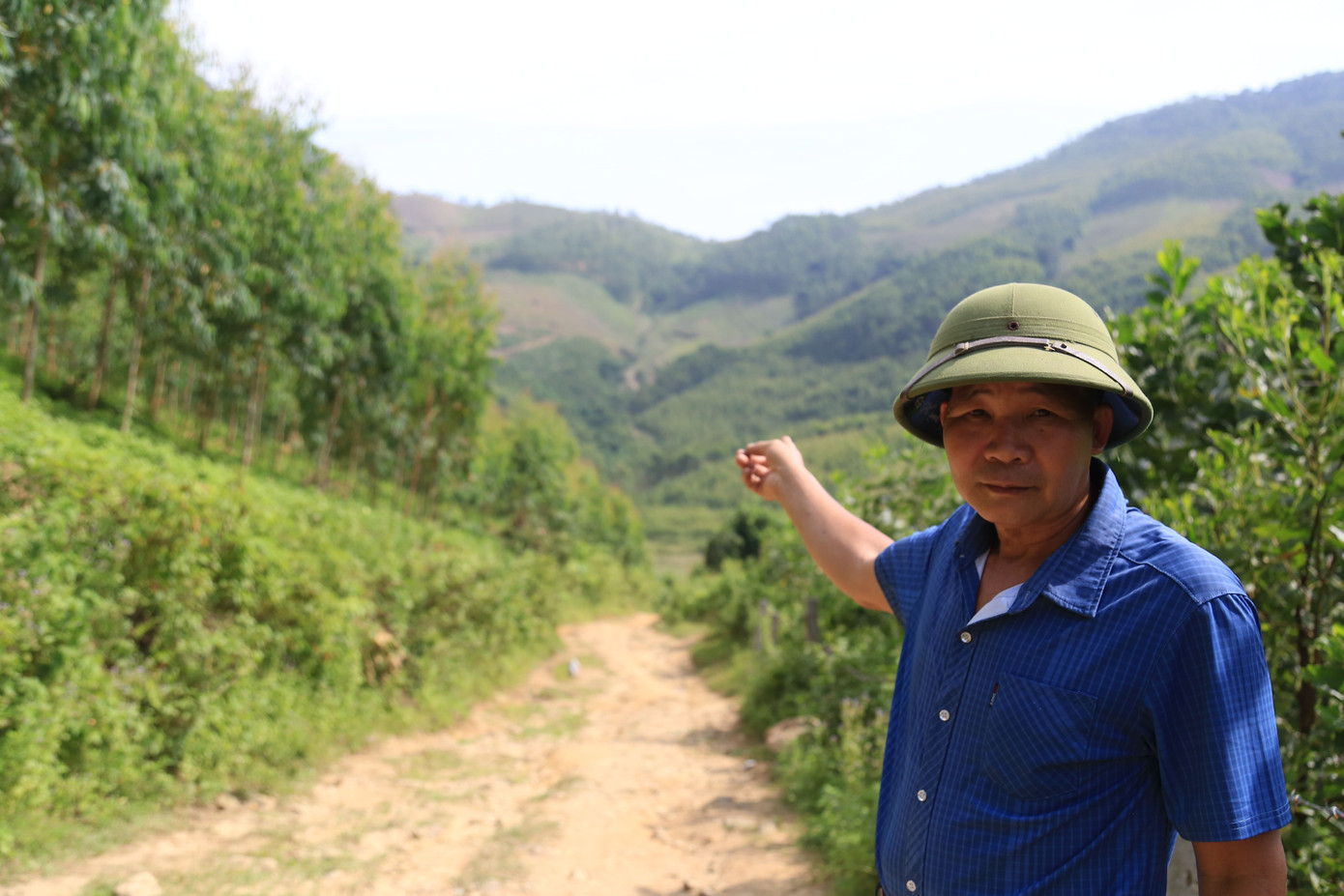 Theo ông Tô Văn Hạnh, Trưởng thôn Phú Nhiêu, từ nhiều năm nay người dân trong thôn đã gắn bó với nghề trồng và khai thác rừng sản xuất. Hơn chục năm trở lại đây, các hộ chuyển sang trồng bạch đàn – loại cây cho thu hoạch ổn định, mang lại thu nhập chính. Con đường mòn dẫn vào khu rừng cũng là lối đi chính, gắn liền với hoạt động sản xuất của người dân.