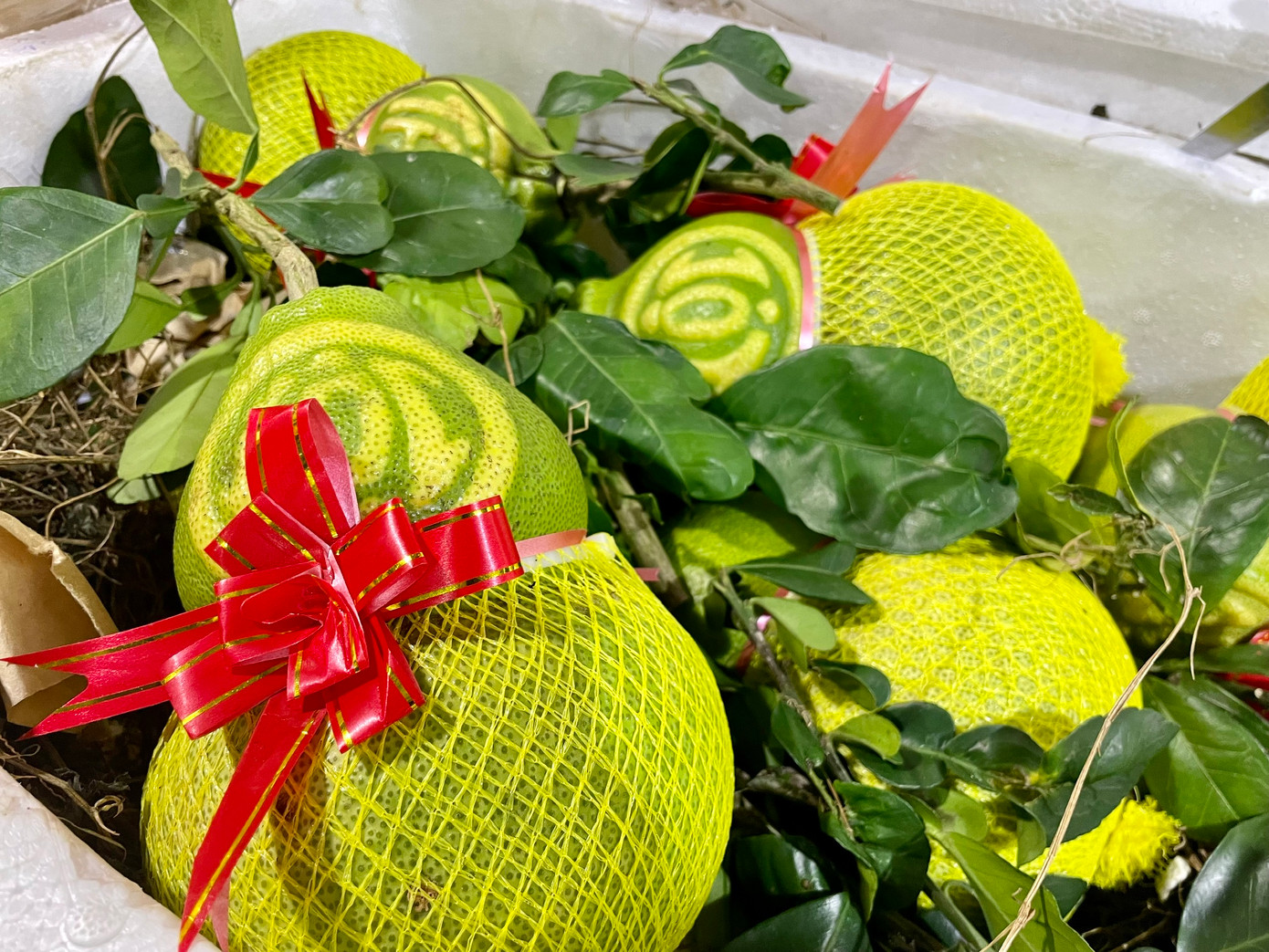 Anh Phạm Minh Tuấn, 48 tuổi, chủ cửa hàng bưởi hồ lô ở chợ Long Biên, cho biết, bưởi được nhập từ miền Tây. Bưởi được tạo hình hồ lô biểu tượng cho sự an lành, dồi dào sức khỏe. Tài là tài năng, cũng có nghĩa là tiền tài. Lộc là thành quả lao động, là sự may mắn.