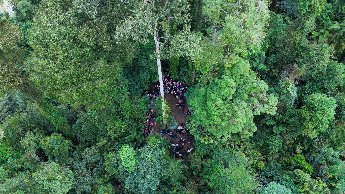 Nghi lễ cúng rừng được thực hiện giữa rừng thiêng.