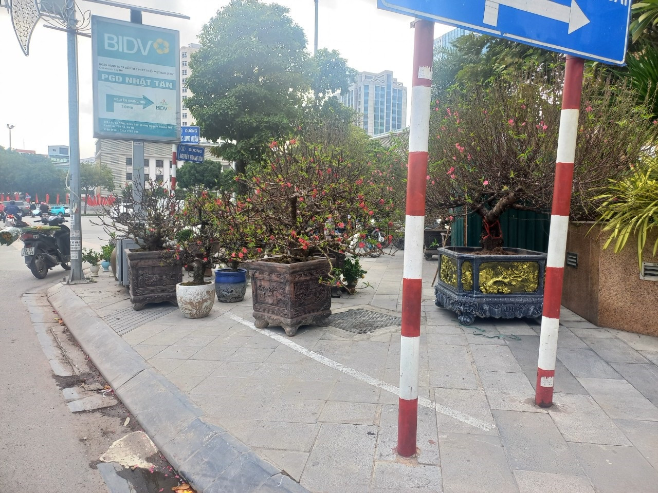 Vỉa hè các điểm bán cây cảnh trên đường Lạc Long Quân bày tràn lan. Vỉa hè các điểm bán cây cảnh trên đường Lạc Long Quân bày tràn lan.