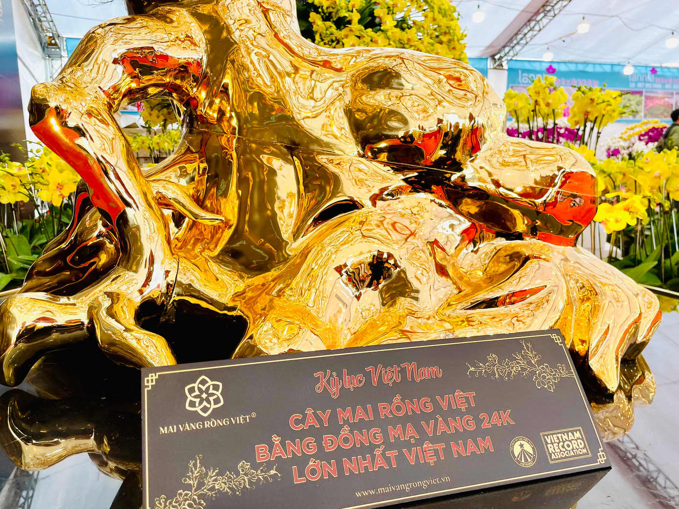 Cây được Hội Kỷ lục gia Việt Nam xác lập kỷ lục về cây mai bằng đồng mạ vàng 24k lớn nhất Việt Nam.