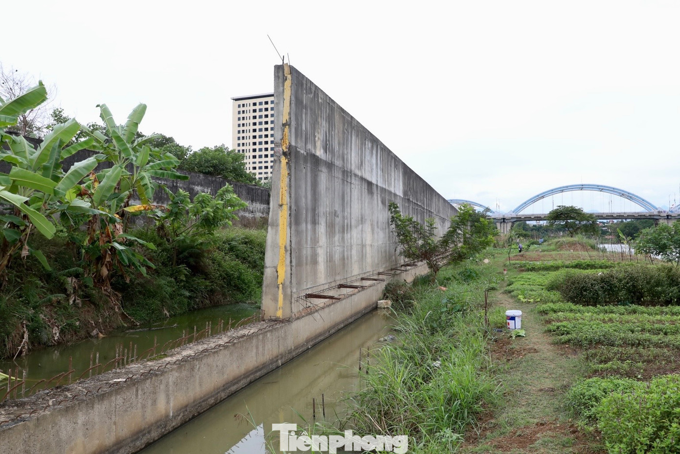 Dự án xây dựng cấp bách, tuy nhiên lại không thể hoàn thiện và bỏ hoang trong thời gian dài, gây lãng phí lớn.