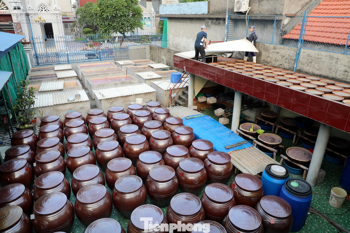 Làng Sa Châu hiện vẫn còn 40 hộ gắn bó với nghề làm nước mắm truyền thống; trong đó có 10 hộ sản xuất với quy mô lớn. Làng Sa Châu hiện vẫn còn 40 hộ gắn bó với nghề làm nước mắm truyền thống; trong đó có 10 hộ sản xuất với quy mô lớn.