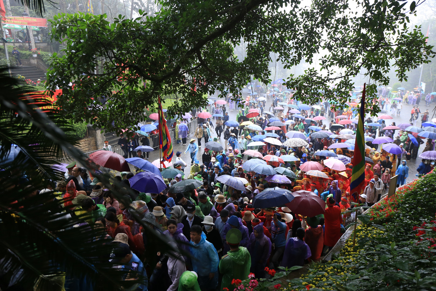 Người dân che ô, khoác áo mưa, bước chậm rãi trên nền đất ẩm ướt, tiến dần lên đỉnh núi Nghĩa Lĩnh để thắp nén hương tưởng nhớ tổ tiên.