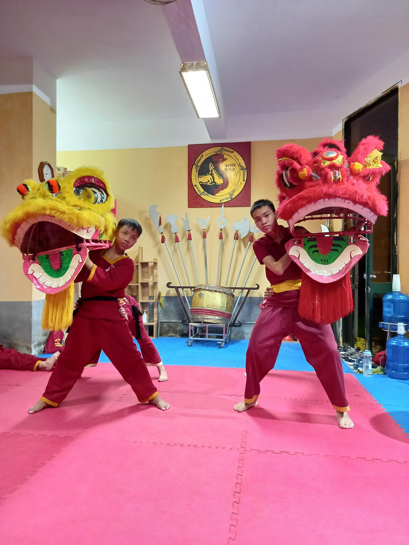 Để theo đuổi lâu dài với việc múa lân chuyên nghiệp cần có niềm đam mê mãnh liệt, khổ luyện và sáng tạo. Các lớp học múa lân này mong muốn các em có một đêm Trung thu tưng bừng, đẹp cả về hình thức và tinh thần; do chính các em thực hiện.