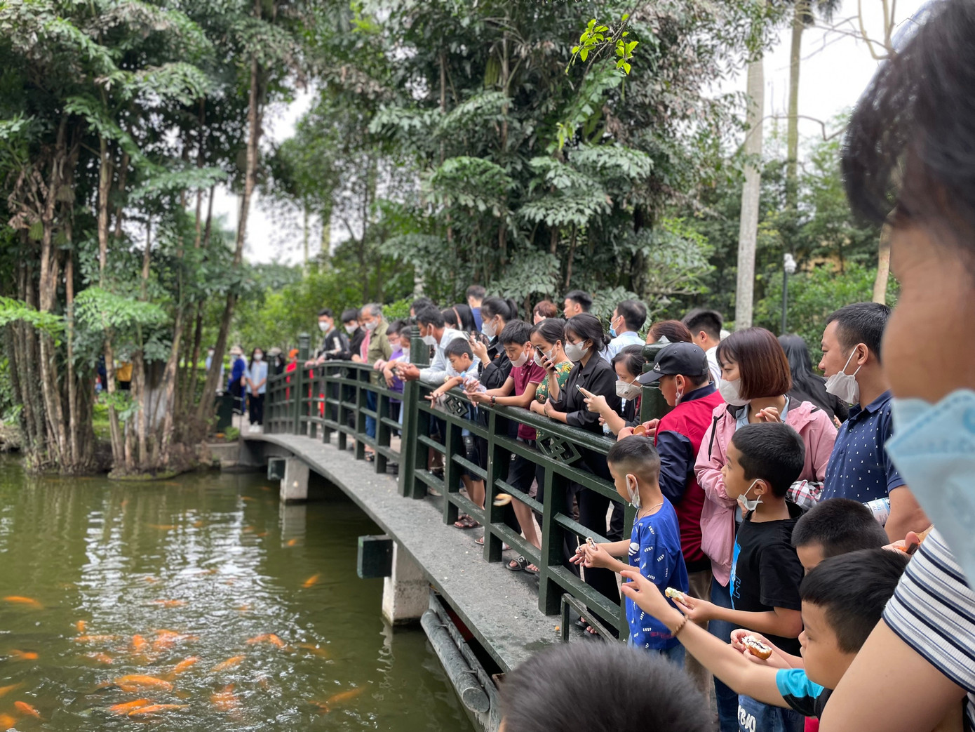 Các em nhỏ thích thú ngắm ao cá Bác Hồ