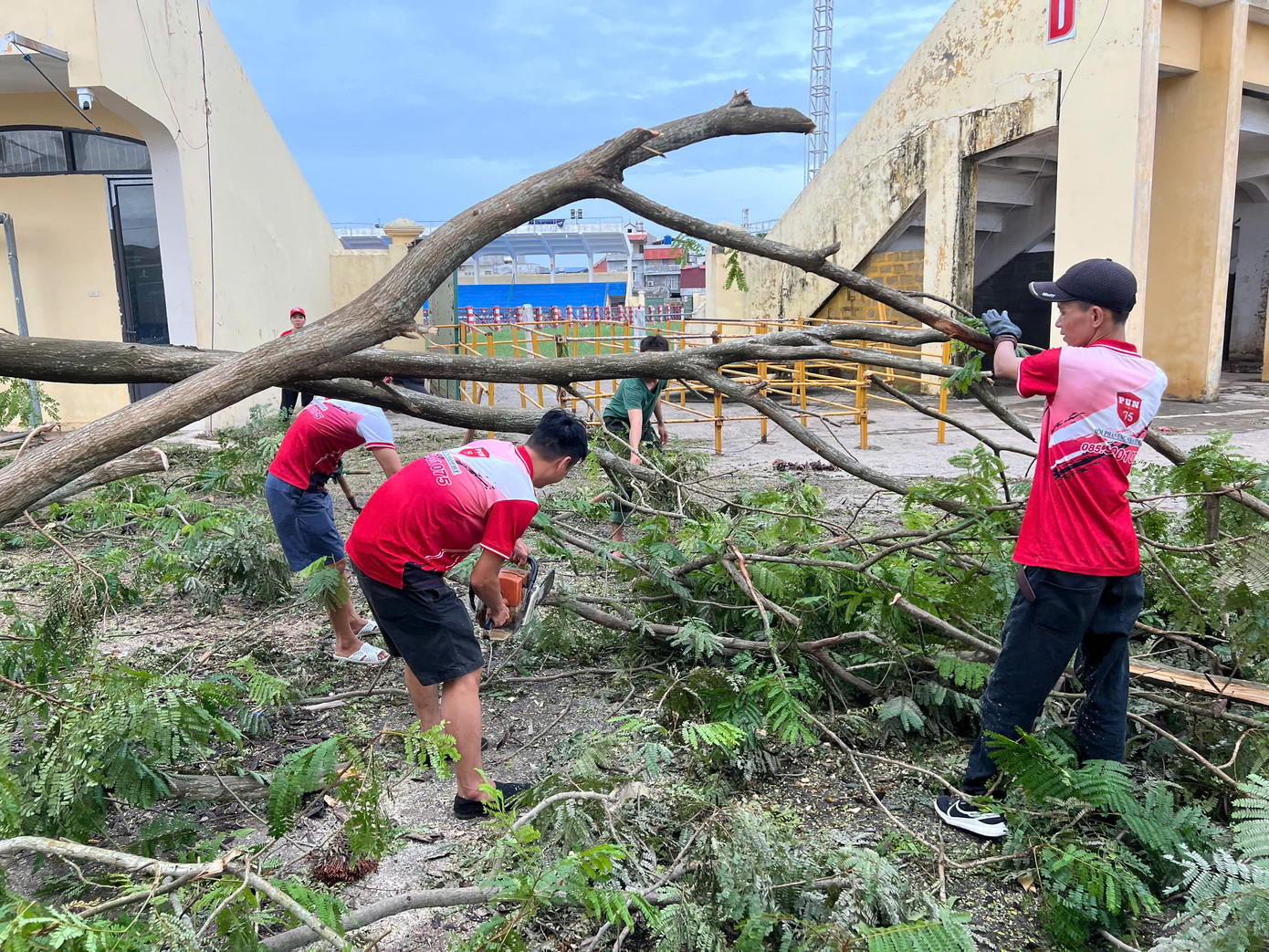 Ngay lập tức, đoàn tình nguyện viên đã cùng hỗ trợ với các lực lượng địa phương dọn dẹp các gốc, cành cây gẫy đổ tại sân vận động, trường Tiểu học tại huyện Đồ Sơn, Hải Phòng.