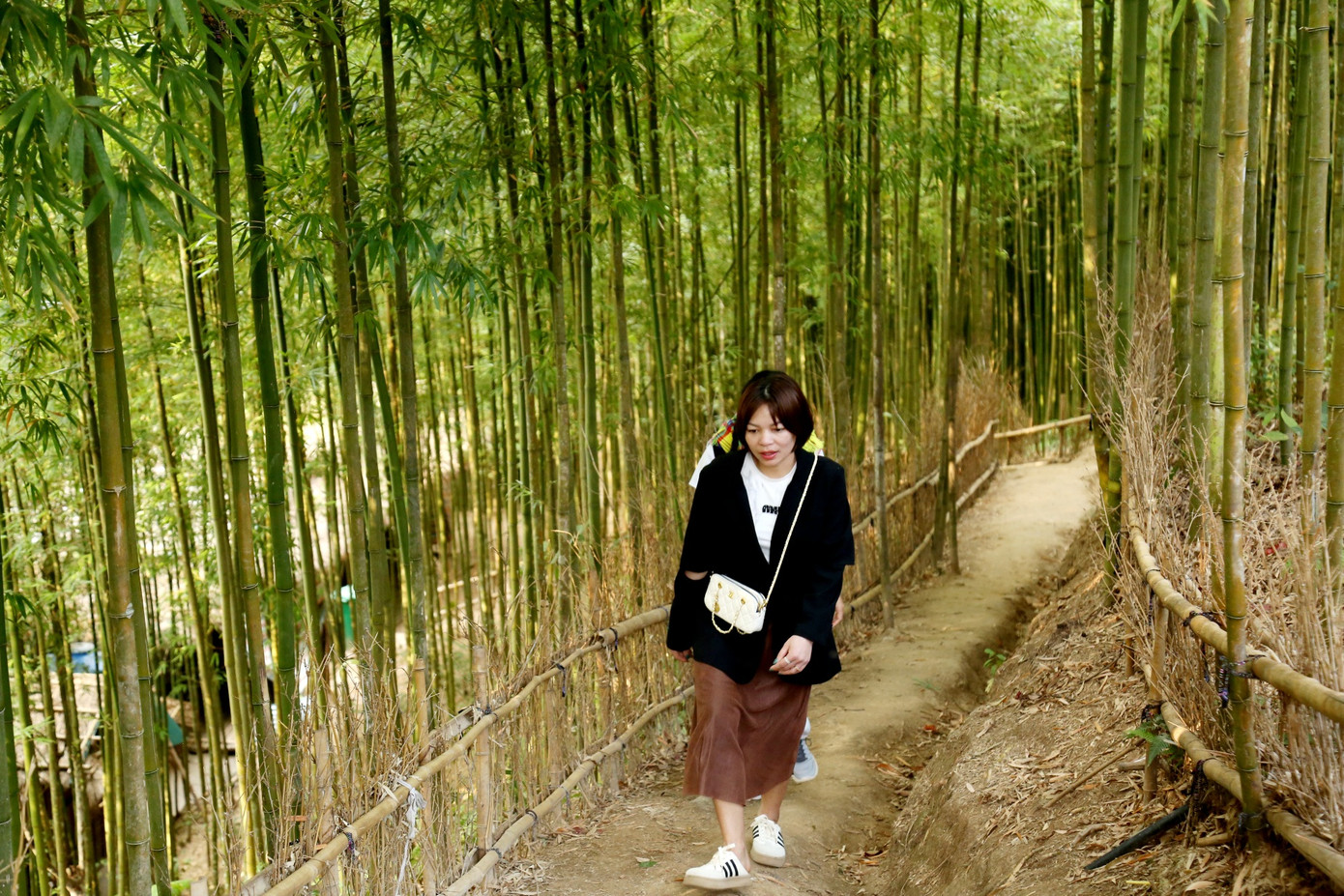 “Mặc dù đường lên khá dốc và khó đi, nhưng khung cảnh nơi đây thực sự ấn tượng. Nhìn những rừng trúc xanh mướt, tôi có cảm giác như đang bước vào thế giới của các bộ phim cổ trang Trung Quốc như 'Thần Điêu Đại Hiệp' hay 'Tiếu Ngạo Giang Hồ", một du khách chia sẻ.