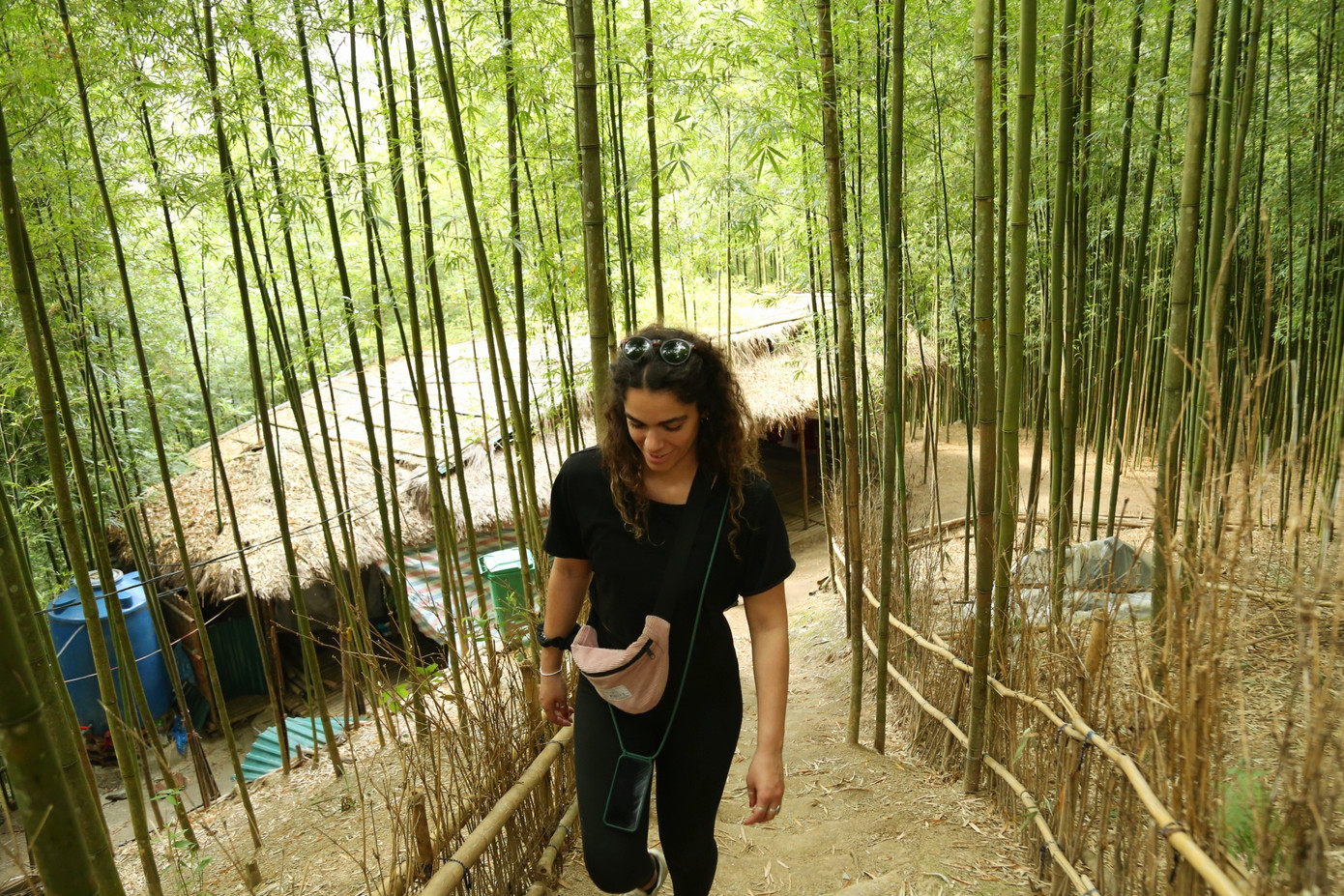 Lối vào rừng trúc được đắp đất tạo thành các bậc thang, giúp du khách dễ dàng đi bộ khám phá. Với vẻ đẹp hoang sơ và độc đáo, rừng trúc Mồ Dề trở thành điểm đến hấp dẫn, thu hút du khách trong và ngoài nước.