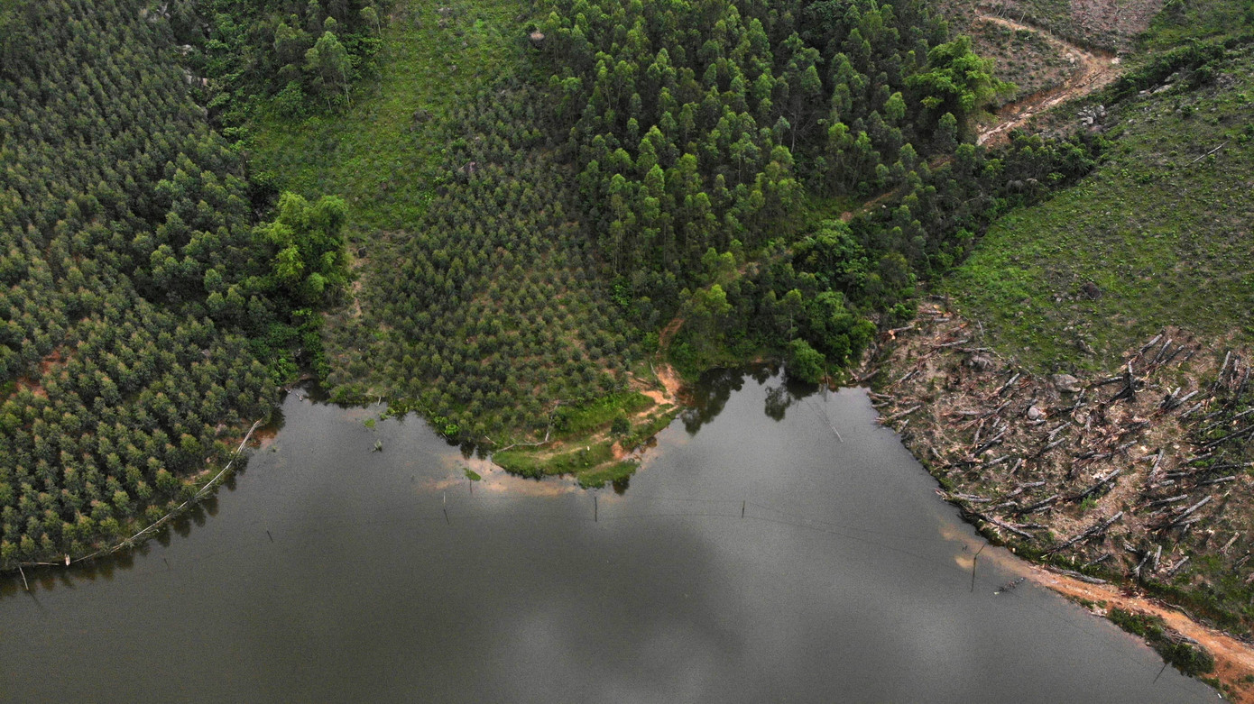 Một số điểm dẫn vào khu rừng sản xuất nay đã ngập hoàn toàn trong nước. Nhiều phương tiện như xe tải nhỏ, xe chở vật liệu chăm bón hay xe máy không thể di chuyển qua. Việc tiếp cận khu rừng để chăm sóc, thu hoạch gặp nhiều trở ngại, ảnh hưởng lớn đến hoạt động sản xuất của các hộ dân.
