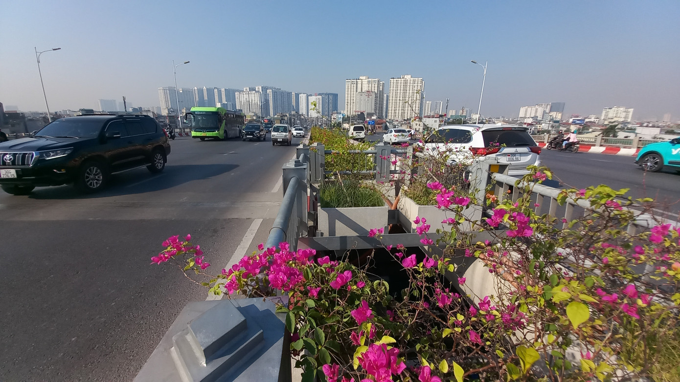 Những cây hoa giấy nở rộ, khoe sắc đỏ thắm... tạo nên khung cảnh yên bình.