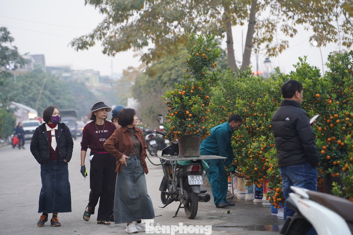 Dọc tuyến đường An Dương Vương thuộc phường Kim Tân và phường Cốc Lếu (TP. Lào Cai, tỉnh Lào Cai), các loại cây cảnh, hoa Tết được bày bán chật kín. Nhiều người dân đã bắt đầu đi mua để chuẩn bị cho dịp Tết nguyên đán.