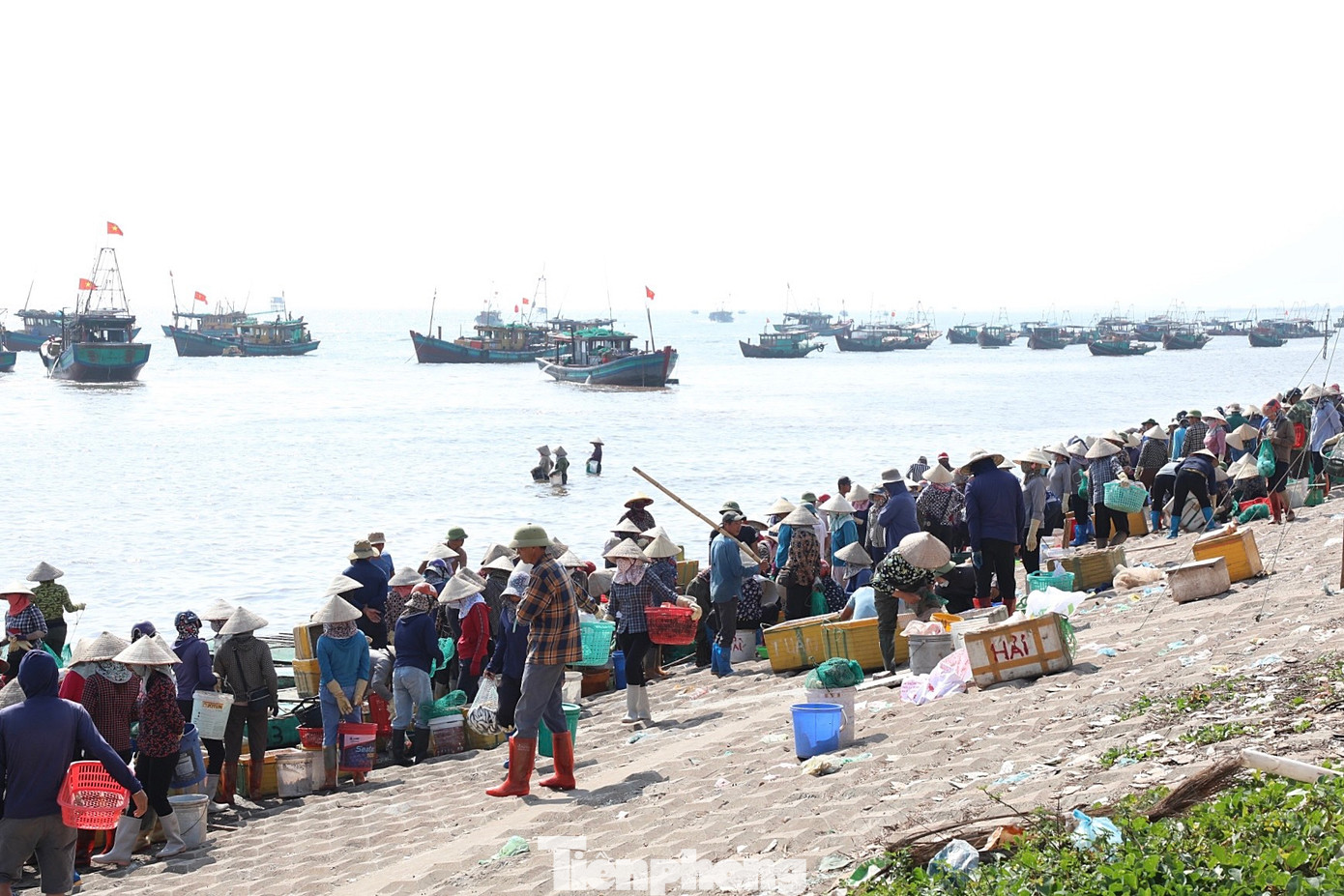 Trên mép nước, bãi cãi, triền đê hoạt động mua bán của hàng trăm ngư dân diễn ra sôi nổi.