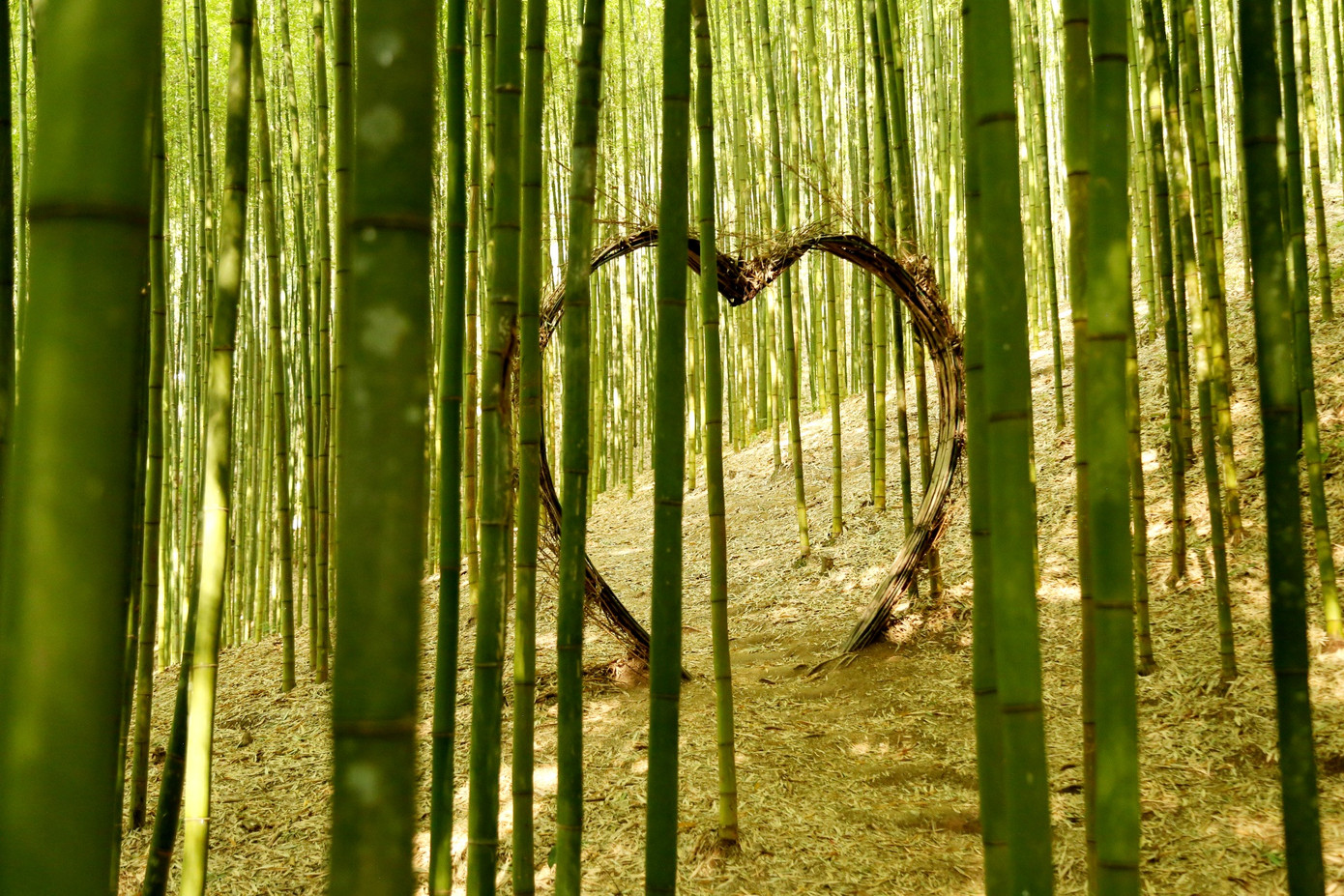 Trong rừng, nhiều tiểu cảnh được bố trí để tăng thêm sức hút, như những chiếc xích đu đung đưa dưới tán trúc, mô hình trái tim lãng mạn, cây khèn Mông truyền thống hay các tiểu cảnh độc đáo như mặt trăng, tổ chim và bộ bàn ghế làm từ trúc.