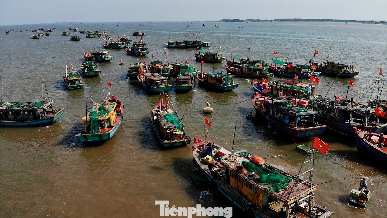 Trao đổi với Tiền Phong, ông Trịnh Văn Đoàn - Phó Chủ tịch UBND xã Giao Hải - cho biết, uớc tính, bến cá Giao Hải có gần 800 phương tiện đánh bắt các loại ở các nơi cập bến. Đánh bắt ở độ xa khoảng 20 hải lý (gần 40 km), đây được gọi là đánh bắt gần bờ. Sản lượng khai thác, nuôi trồng thủy, hải sản đến hết quý III của xã ước đạt: 7.250 tấn/9.500 tấn đạt 76,3% tương đương so với cùng kỳ năm 2022, dự kiến vượt chỉ tiêu năm nay. Trong đó, hết qúy III, khai thác tôm, cá các loại là 6.005 tấn.