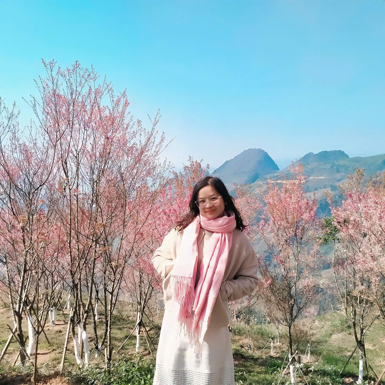 "Nhân dịp cận Tết, tôi và nhóm bạn quyết định cùng nhau lên Bắc Hà để du lịch. Chúng tôi thật sự không thể rời mắt khỏi vẻ đẹp rực rỡ của hoa mai anh đào. Đây chính là đặc trưng của mùa xuân ở vùng núi Tây Bắc, nơi mà thiên nhiên vẫn giữ nguyên vẻ hoang sơ và thuần khiết. Chúng tôi tranh thủ từng khoảnh khắc để chụp những bức ảnh lưu giữ kỷ niệm, mong muốn những hình ảnh này sẽ mãi theo chúng tôi trong suốt hành trình cuộc sống", chị Cư Thị Ngọc Linh chia sẻ.