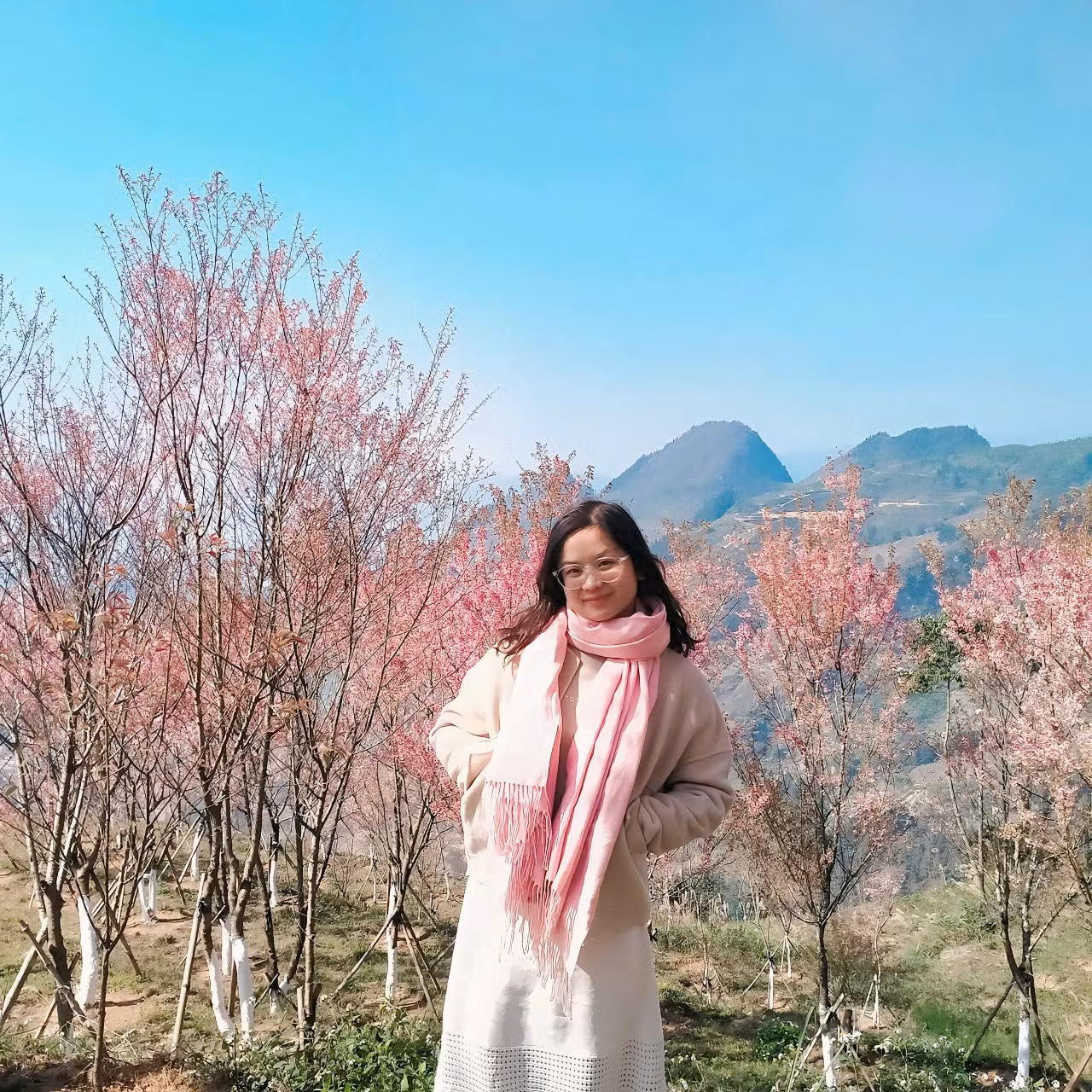 "Nhân dịp cận Tết, tôi và nhóm bạn quyết định cùng nhau lên Bắc Hà để du lịch. Chúng tôi thật sự không thể rời mắt khỏi vẻ đẹp rực rỡ của hoa mai anh đào. Đây chính là đặc trưng của mùa xuân ở vùng núi Tây Bắc, nơi mà thiên nhiên vẫn giữ nguyên vẻ hoang sơ và thuần khiết. Chúng tôi tranh thủ từng khoảnh khắc để chụp những bức ảnh lưu giữ kỷ niệm, mong muốn những hình ảnh này sẽ mãi theo chúng tôi trong suốt hành trình cuộc sống", chị Cư Thị Ngọc Linh chia sẻ.
