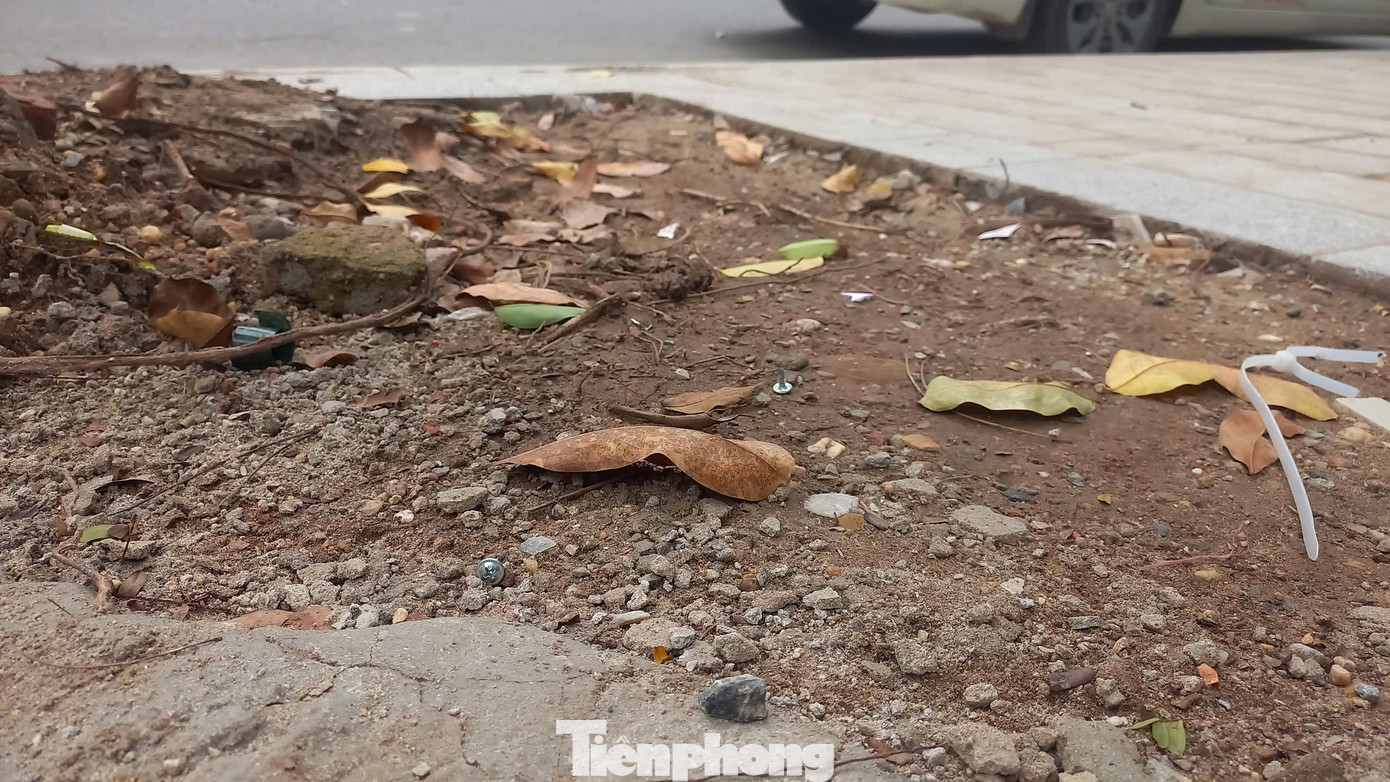 Những chiếc đinh nhỏ chổng ngược lên trên, nếu không để ý kĩ, rất dễ dẫm phải. Những chiếc đinh nhỏ chổng ngược lên trên, nếu không để ý kĩ, rất dễ dẫm phải.