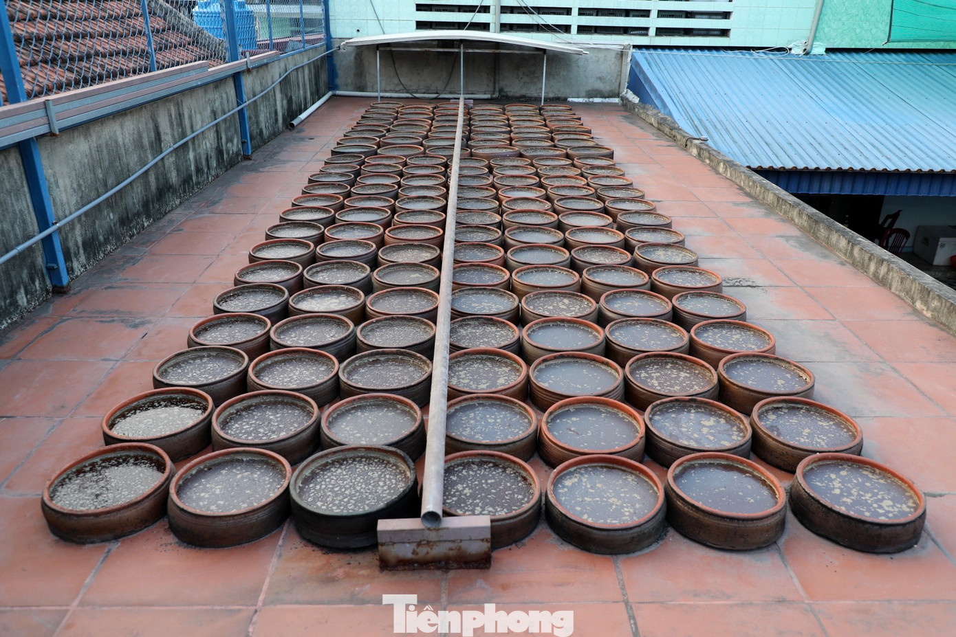 Sau đó, nước mắm được đổ ra các ang, tiếp tục phơi dưới ánh nắng mặt trời. Khi nước mắm đạt chuẩn, trên mặt ang sẽ xuất hiện một lớp váng muối trắng. Quá trình phơi nắng thường kéo dài khoảng 3 - 4 ngày, nếu phơi quá nắng sẽ bay mất hương thơm đặc trưng của nước mắm. Sau đó, nước mắm được đổ ra các ang, tiếp tục phơi dưới ánh nắng mặt trời. Khi nước mắm đạt chuẩn, trên mặt ang sẽ xuất hiện một lớp váng muối trắng. Quá trình phơi nắng thường kéo dài khoảng 3 - 4 ngày, nếu phơi quá nắng sẽ bay mất hương thơm đặc trưng của nước mắm.