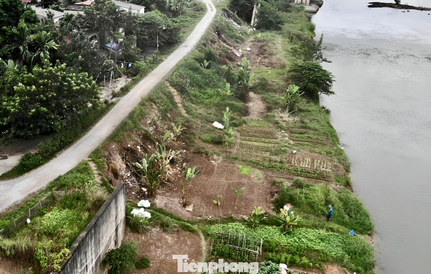 Đê mới xây dở dang, trong khi nhiều đoạn đê cũ đã bị phá, đắp đất tạm bợ.