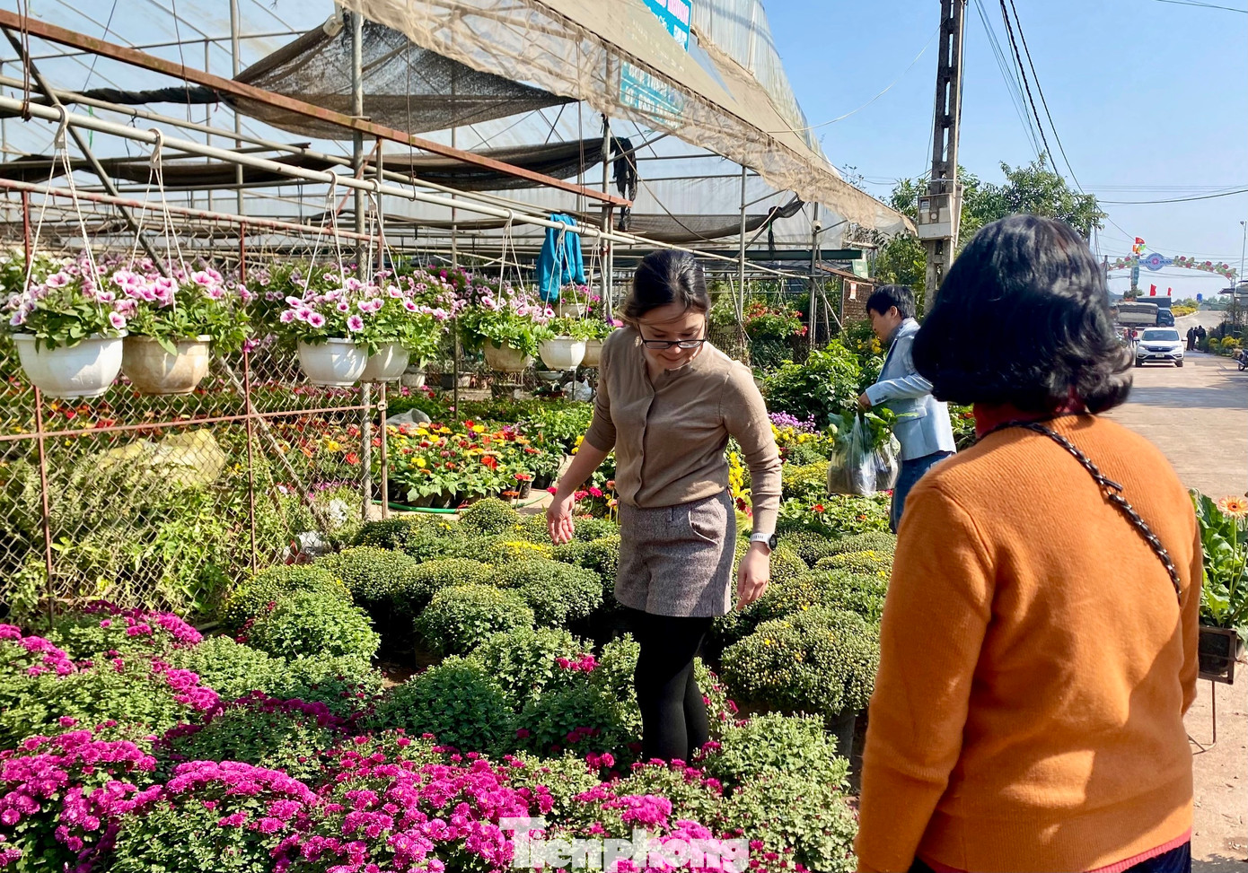 Khách tham quan, mua lẻ, mua buôn, nhộn nhịp hơn thường ngày. Tuy nhiên, phải bắt đầu từ tháng 12 âm lịch, không khí tại làng hoa Xuân Quan mới trở nên sôi động nhất.