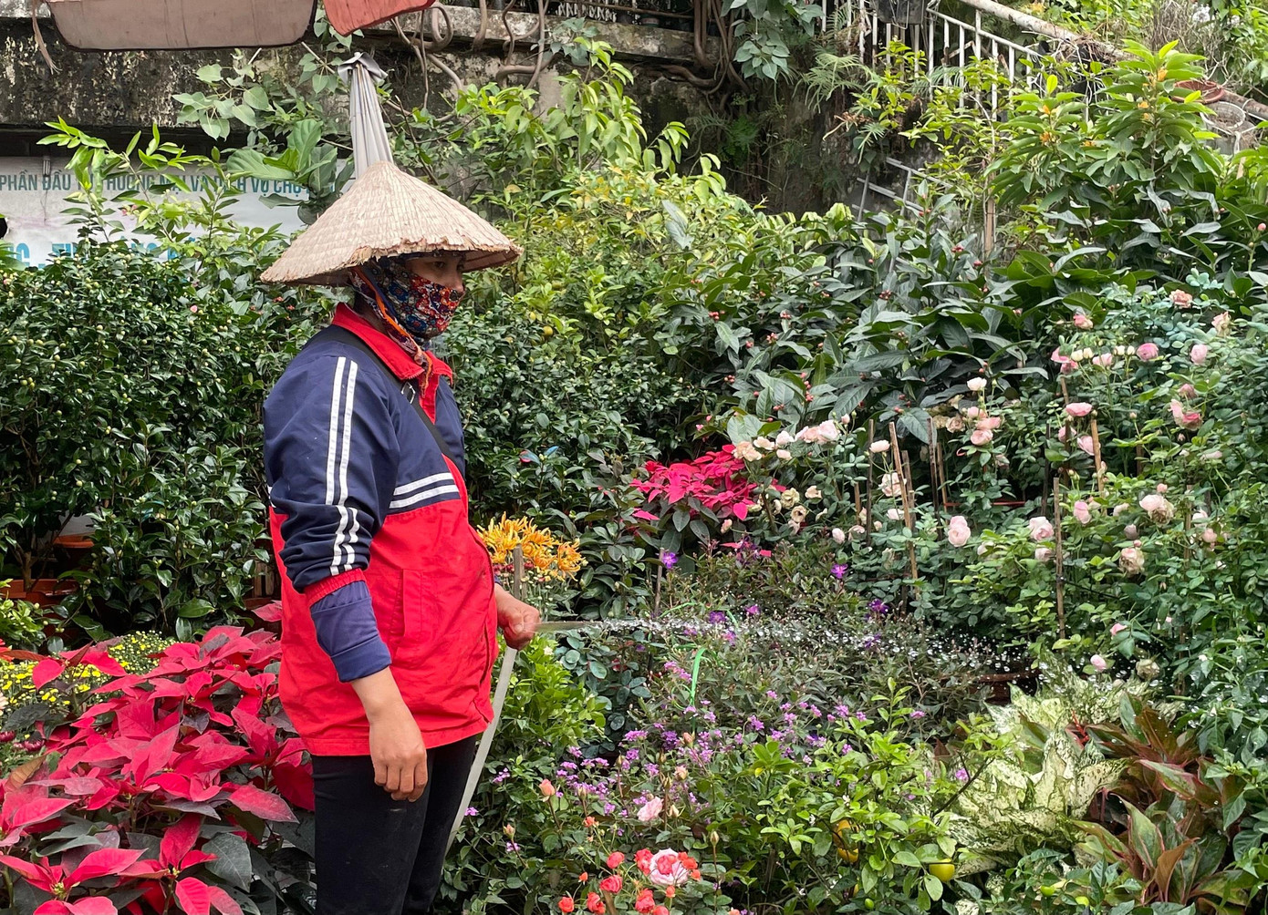 Chia sẻ với chúng tôi, chị Nguyễn Thị Vân (46 tuổi) - một tiểu thương buôn bán lâu năm tại nơi này cho biết: "Năm ngoái, vào thời gian này mình bận lắm, năm nay tuy có vắng hơn nhưng càng gần Tết thì đang càng đông khách hơn".