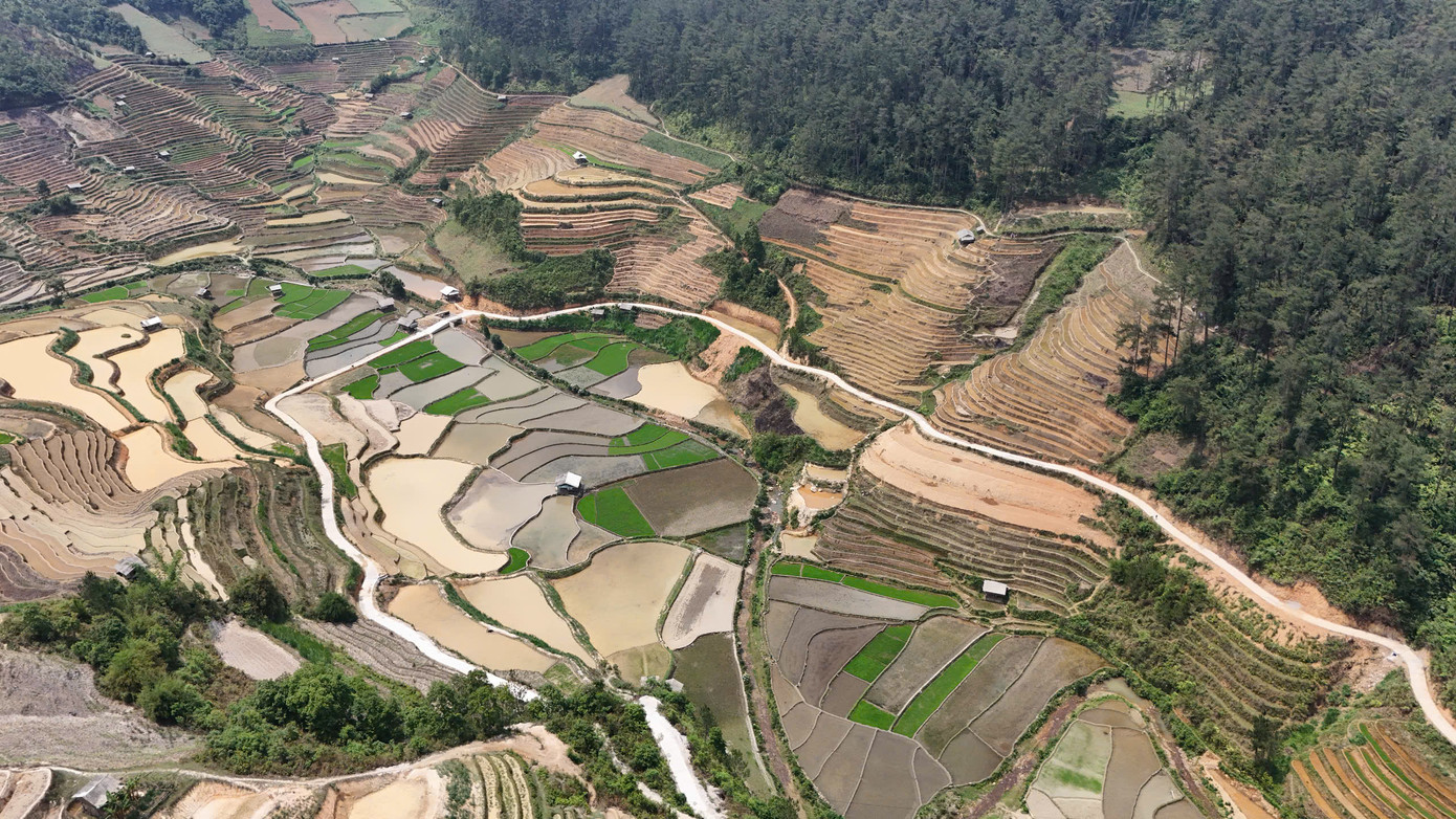 Nhìn từ trên cao, ruộng bậc thang mùa nước đổ hiện lên như một bức tranh khảm sống động với những mảng màu đan xen, chỗ ánh nước loang loáng như gương, chỗ là lớp đất nâu ẩm, chỗ đã phủ xanh mạ non. Sự pha trộn giữa màu trời, màu đất và màu cây cối tạo nên vẻ đẹp cuốn hút, khiến du khách không khỏi ngỡ ngàng.