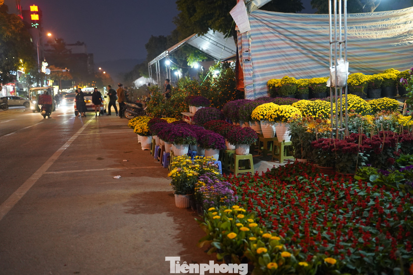 Những điểm bán hoa bày trí ngày Tết thưa thớt khách đến mua hơn. Theo những chủ cửa hàng, thường khách sẽ mua hoa muộn hơn, sau ngày ông Công ông Táo.