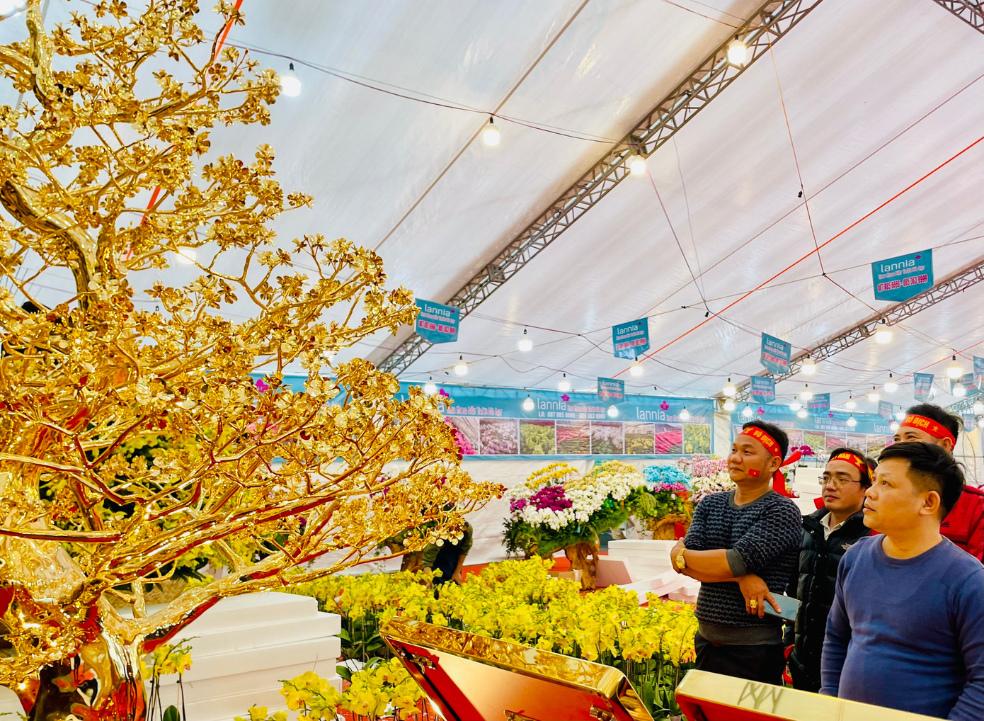 Cây được trưng bày đến ngày 29 tháng chạp, thu hút nhiều người đến tham quan, chiêm ngưỡng.