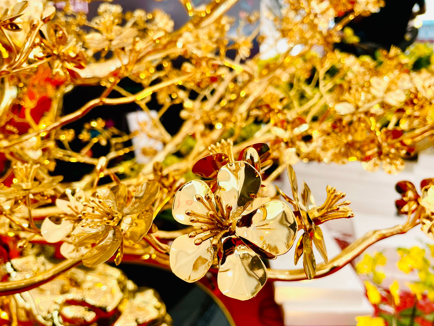 "Hoa mai 5 cánh biểu trưng cho ngũ phúc: Hạnh phúc, may mắn, trường thọ, thành công và hòa bình", anh Định chia sẻ.