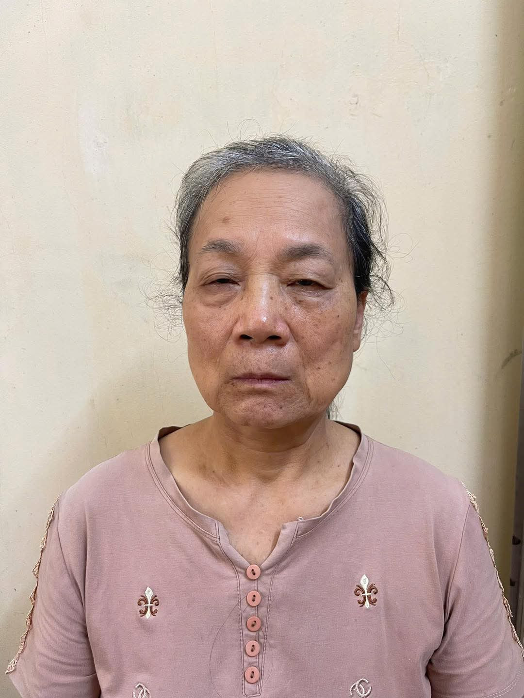 Đối tượng Mai Thị Hạ. Đối tượng Mai Thị Hạ.