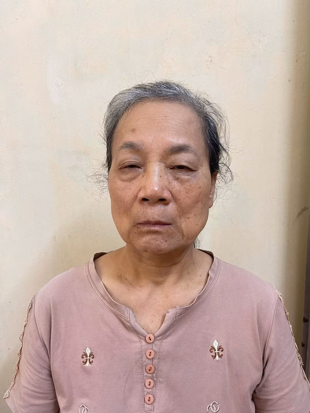 Đối tượng Mai Thị Hạ. Đối tượng Mai Thị Hạ.