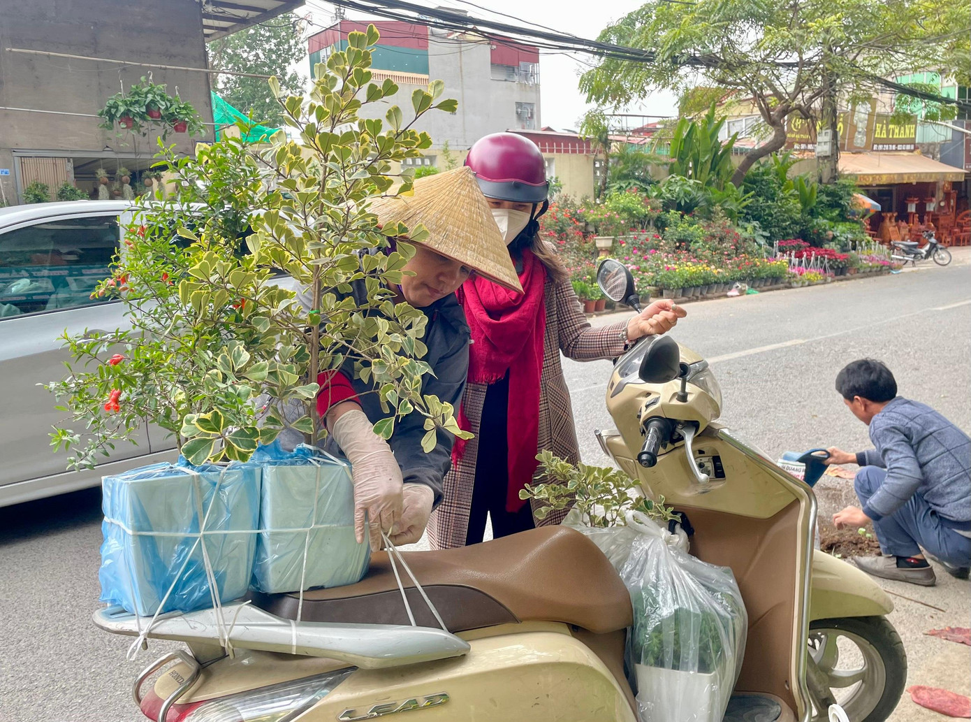 Trong ảnh, chị Nguyễn Thị Hương (30 tuổi, Cầu Giấy, Hà Nội) mua cây bàng cẩm thạch, cây lựu, tùng bồng lai, cây cá vàng, lưỡi hổ với giá 1 triệu đồng về trang trí cho ban công.
