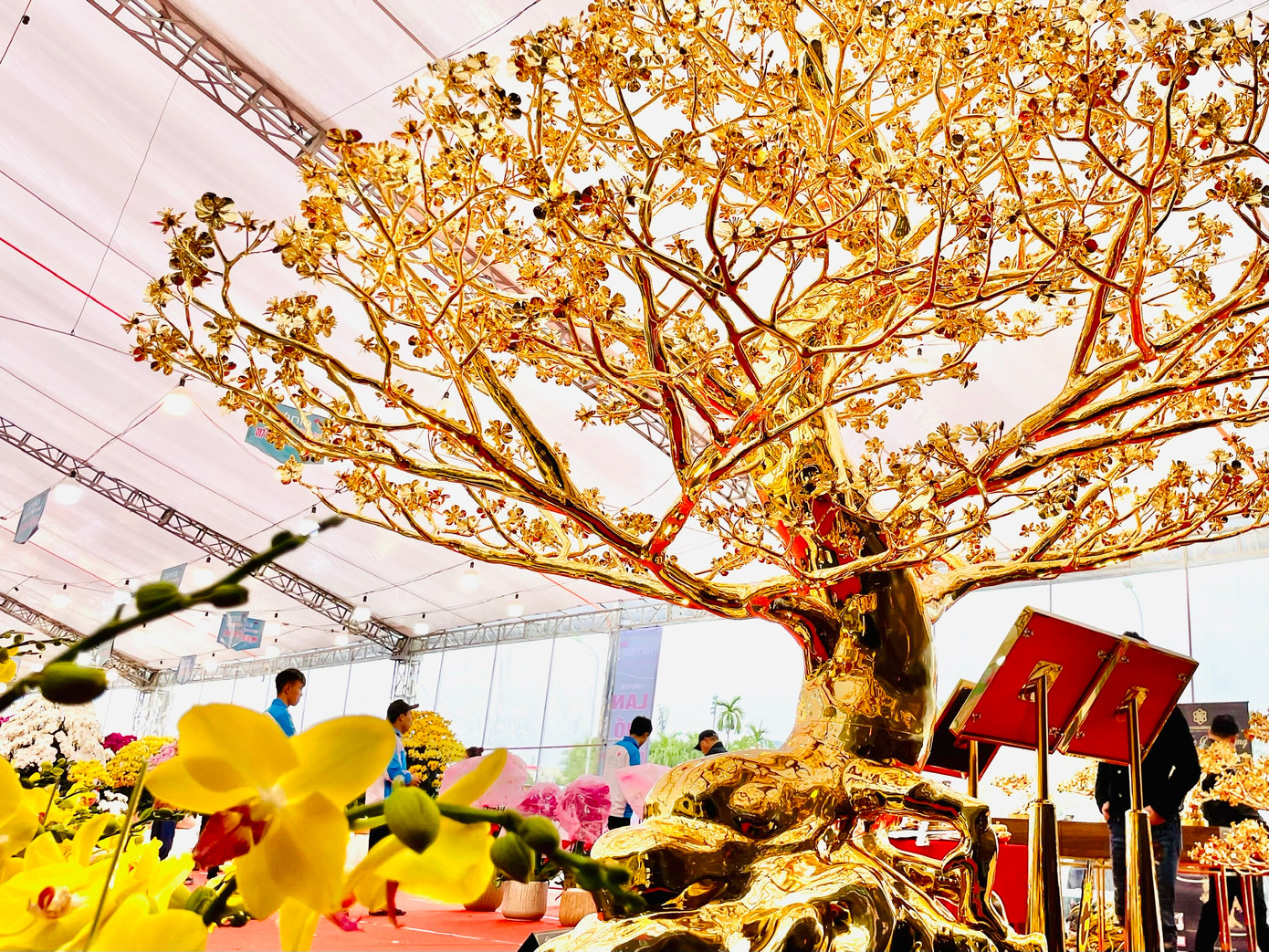 Cây mai bằng đồng mạ vàng 24k lớn nhất Việt Nam đang được trưng bày ở quảng trường phía trước sân vận động quốc gia Mỹ Đình, Nam Từ Liêm, Hà Nội. Sản phẩm này được làm bằng đồng, mạ hơn 120 chỉ vàng, cao hơn 3m và nặng tới 288kg.