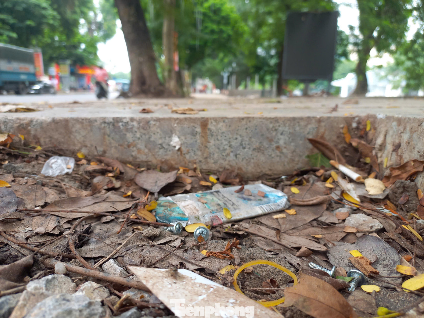 Tuy nhiên, theo ghi nhận của phóng viên, dải cây xanh trên tuyến diễn ra sự kiện vương vãi rất nhiều đinh vít. Tuy nhiên, theo ghi nhận của phóng viên, dải cây xanh trên tuyến diễn ra sự kiện vương vãi rất nhiều đinh vít.